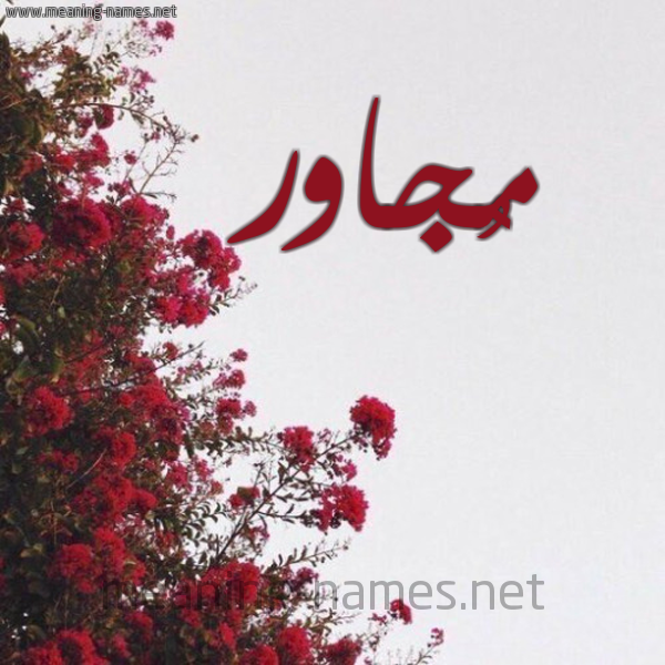 شكل 18 صوره الورد الأحمر للإسم بخط رقعة صورة اسم مُجاور MOGAOR