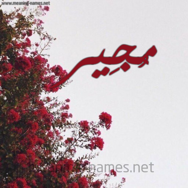 شكل 18 صوره الورد الأحمر للإسم بخط رقعة صورة اسم مُجِير MOGEIR