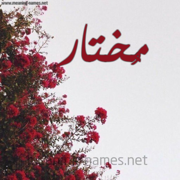 شكل 18 صوره الورد الأحمر للإسم بخط رقعة صورة اسم مُختار MOKHTAR