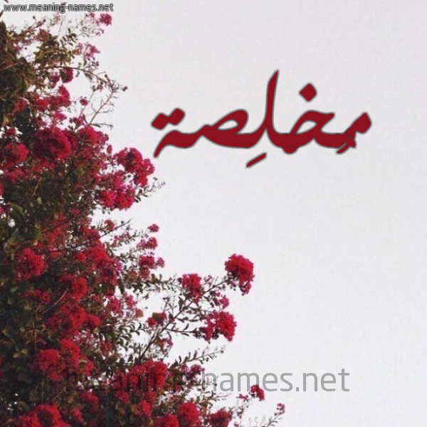 شكل 18 صوره الورد الأحمر للإسم بخط رقعة صورة اسم مُخْلِصة MOKHLESH