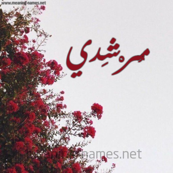 شكل 18 صوره الورد الأحمر للإسم بخط رقعة صورة اسم مُرْشِدي MORSHEDI