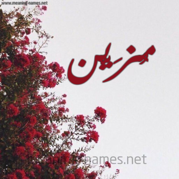 شكل 18 صوره الورد الأحمر للإسم بخط رقعة صورة اسم مُزَيَّن MOZAIAN
