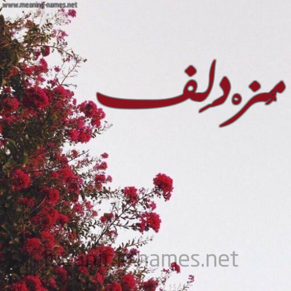 شكل 18 صوره الورد الأحمر للإسم بخط رقعة صورة اسم مُزْدَلِف MOZDALEF