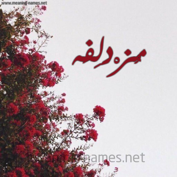 شكل 18 صوره الورد الأحمر للإسم بخط رقعة صورة اسم مُزْدَلِفَه MOZDALEFAH