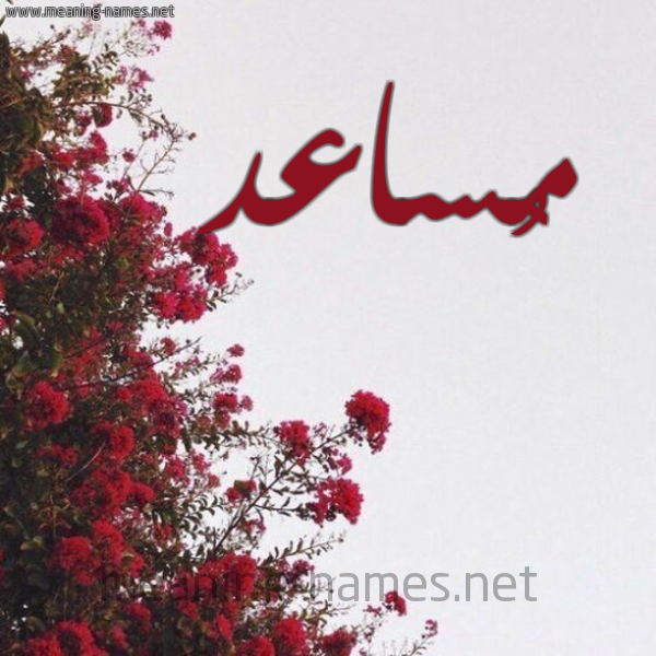 شكل 18 صوره الورد الأحمر للإسم بخط رقعة صورة اسم مُساعد MOSAAD