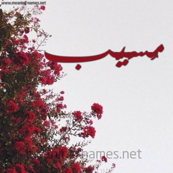 صورة اسم مُسَيَّب MOSAIAB شكل 18 صوره الورد الأحمر للإسم بخط رقعة صورة اسم مُسَيَّب MOSAIAB شكل 18 صوره الورد الأحمر للإسم بخط رقعة