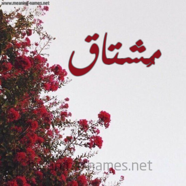 شكل 18 صوره الورد الأحمر للإسم بخط رقعة صورة اسم مُشتاق MOSHTAQ