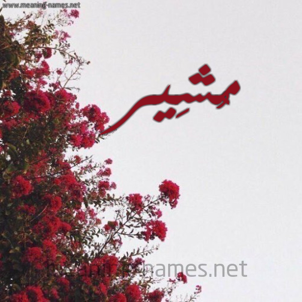 شكل 18 صوره الورد الأحمر للإسم بخط رقعة صورة اسم مُشِير MOSHEIR