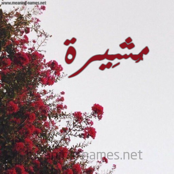 شكل 18 صوره الورد الأحمر للإسم بخط رقعة صورة اسم مُشِيرة MOSHEIRH