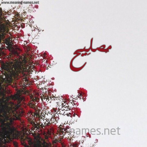 شكل 18 صوره الورد الأحمر للإسم بخط رقعة صورة اسم مُصلِيح Mosleh