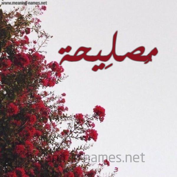 شكل 18 صوره الورد الأحمر للإسم بخط رقعة صورة اسم مُصلِيحة Mosleha
