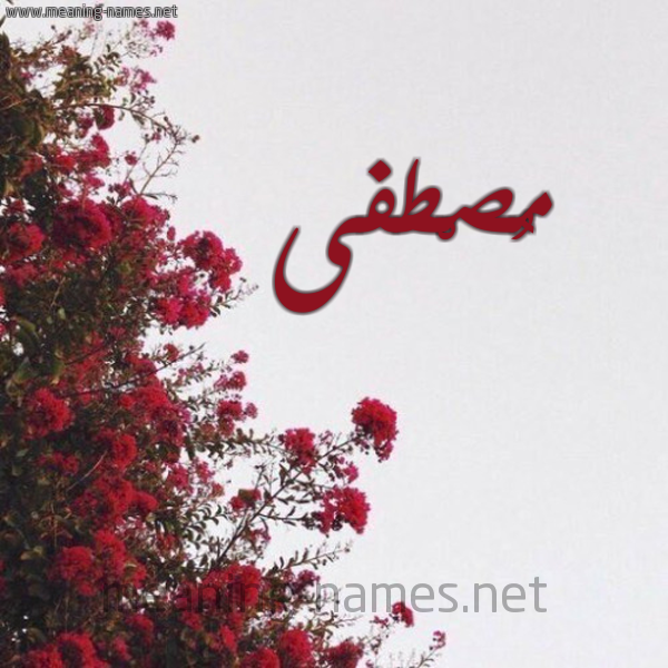 شكل 18 صوره الورد الأحمر للإسم بخط رقعة صورة اسم مُصْطفى MOSTFA