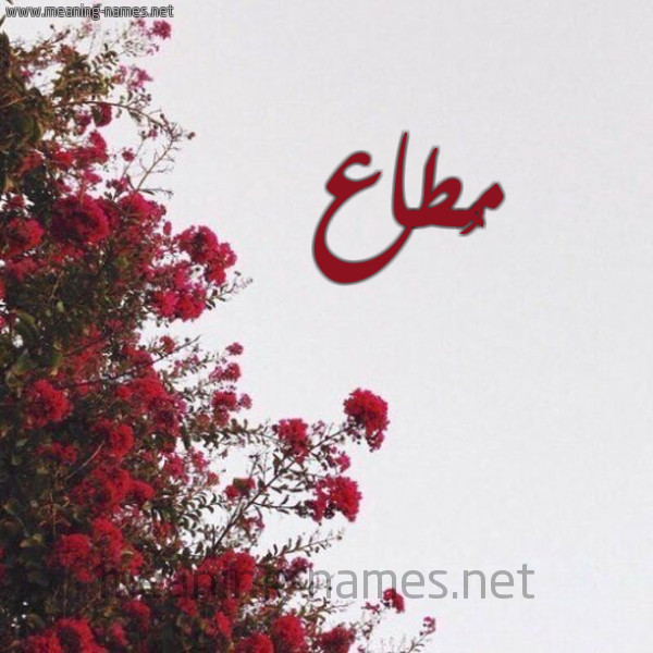 شكل 18 صوره الورد الأحمر للإسم بخط رقعة صورة اسم مُطاع MOTAA