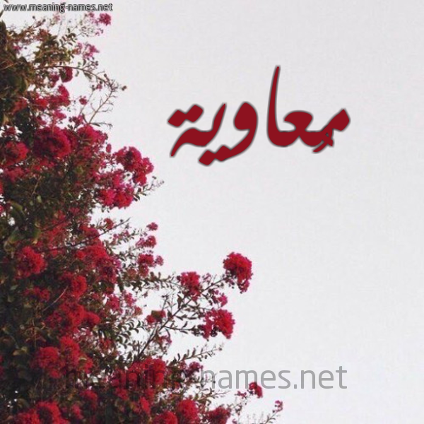 شكل 18 صوره الورد الأحمر للإسم بخط رقعة صورة اسم مُعاوية Moawia
