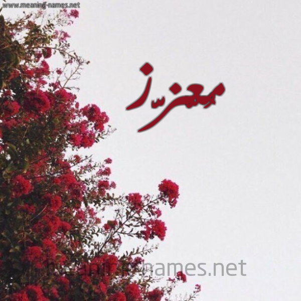 شكل 18 صوره الورد الأحمر للإسم بخط رقعة صورة اسم مُعّزَّز MOAZAZ