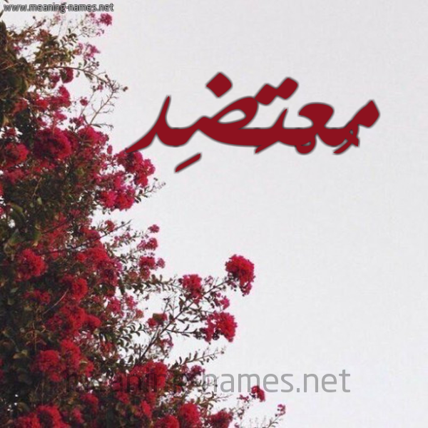 شكل 18 صوره الورد الأحمر للإسم بخط رقعة صورة اسم مُعْتَضِد MOATADED