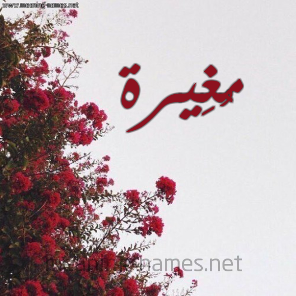 شكل 18 صوره الورد الأحمر للإسم بخط رقعة صورة اسم مُغِيرة MOGHEIRH