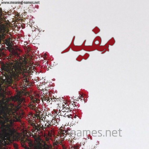 شكل 18 صوره الورد الأحمر للإسم بخط رقعة صورة اسم مُفيد MOFID