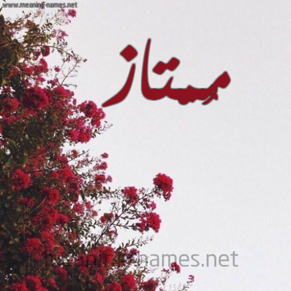 شكل 18 صوره الورد الأحمر للإسم بخط رقعة صورة اسم مُمْتاز MOMTAZ