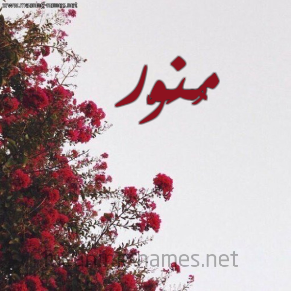 شكل 18 صوره الورد الأحمر للإسم بخط رقعة صورة اسم مُنَوَّر MONAOAR