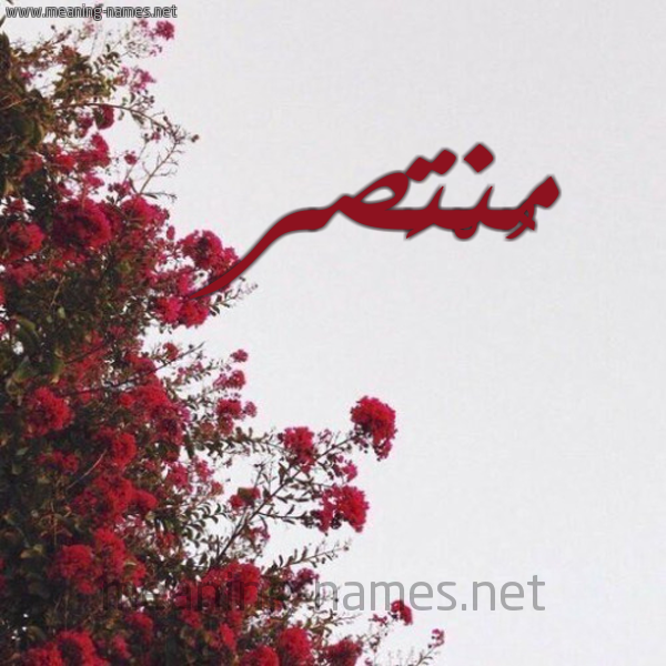 شكل 18 صوره الورد الأحمر للإسم بخط رقعة صورة اسم مُنْتَصر MONTASR