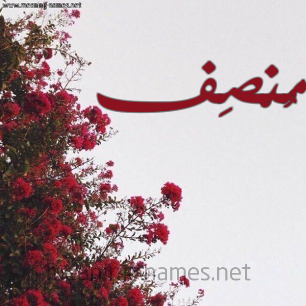 شكل 18 صوره الورد الأحمر للإسم بخط رقعة صورة اسم مُنْصِف MONSEF