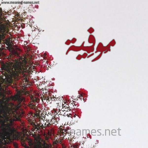 شكل 18 صوره الورد الأحمر للإسم بخط رقعة صورة اسم مُوَفِّية MOOAFEIH