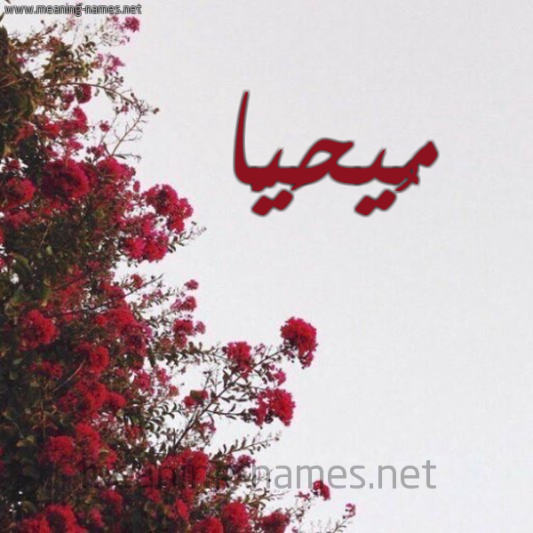 شكل 18 صوره الورد الأحمر للإسم بخط رقعة صورة اسم مُيحَيَّا Muhayya
