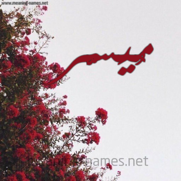 شكل 18 صوره الورد الأحمر للإسم بخط رقعة صورة اسم مُيَسَّر MOIASAR