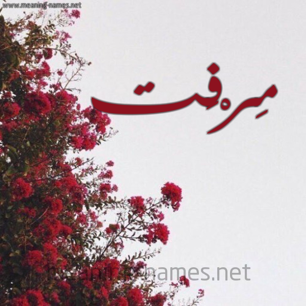 شكل 18 صوره الورد الأحمر للإسم بخط رقعة صورة اسم مِرْفَت MERFAT