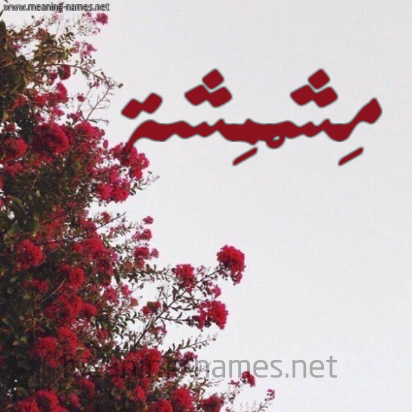 شكل 18 صوره الورد الأحمر للإسم بخط رقعة صورة اسم مِشْمِشة MESHMESHH