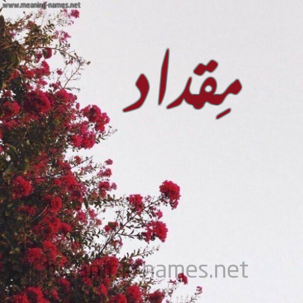 شكل 18 صوره الورد الأحمر للإسم بخط رقعة صورة اسم مِقْداد MEQDAD