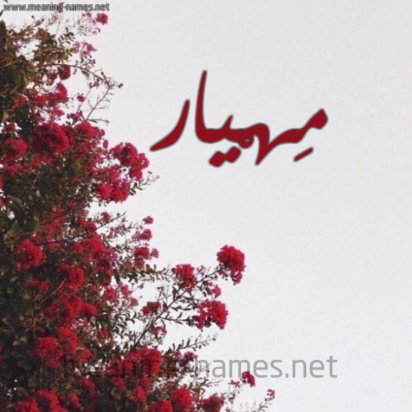 شكل 18 صوره الورد الأحمر للإسم بخط رقعة صورة اسم مِهْيار MEHIAR