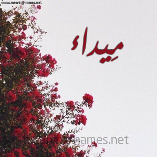 شكل 18 صوره الورد الأحمر للإسم بخط رقعة صورة اسم مِيداء MEIDAA
