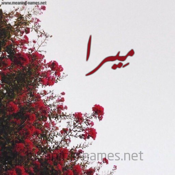 شكل 18 صوره الورد الأحمر للإسم بخط رقعة صورة اسم مِيرا Mira
