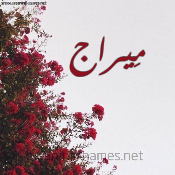 شكل 18 صوره الورد الأحمر للإسم بخط رقعة صورة اسم مِيراج Meirag