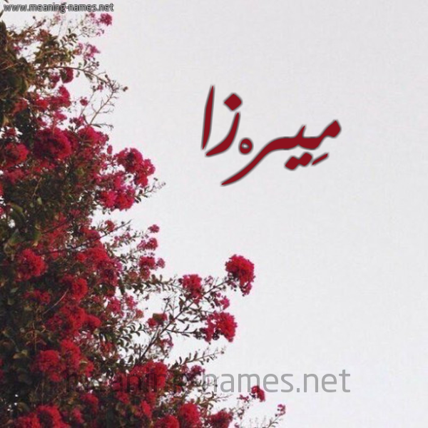 شكل 18 صوره الورد الأحمر للإسم بخط رقعة صورة اسم مِيرْزا Meirza