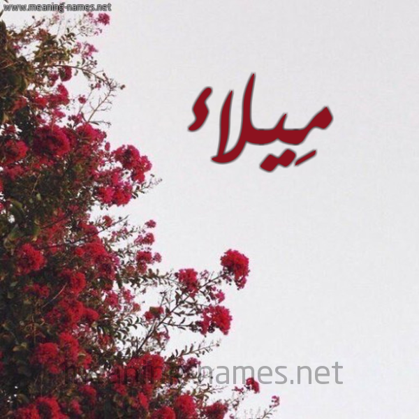 شكل 18 صوره الورد الأحمر للإسم بخط رقعة صورة اسم مِيلاء MEILAA