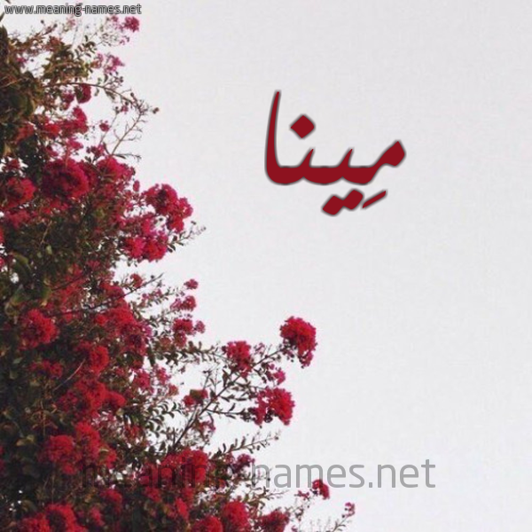 شكل 18 صوره الورد الأحمر للإسم بخط رقعة صورة اسم مِينا MEINA