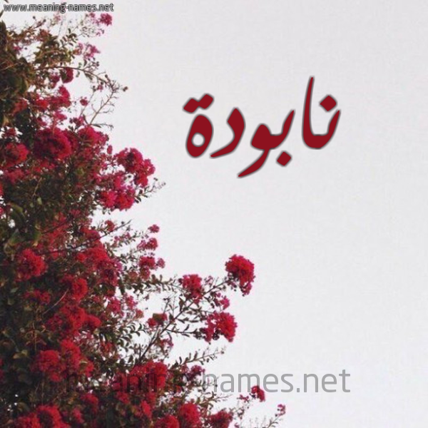 شكل 18 صوره الورد الأحمر للإسم بخط رقعة صورة اسم نابودة NABODH