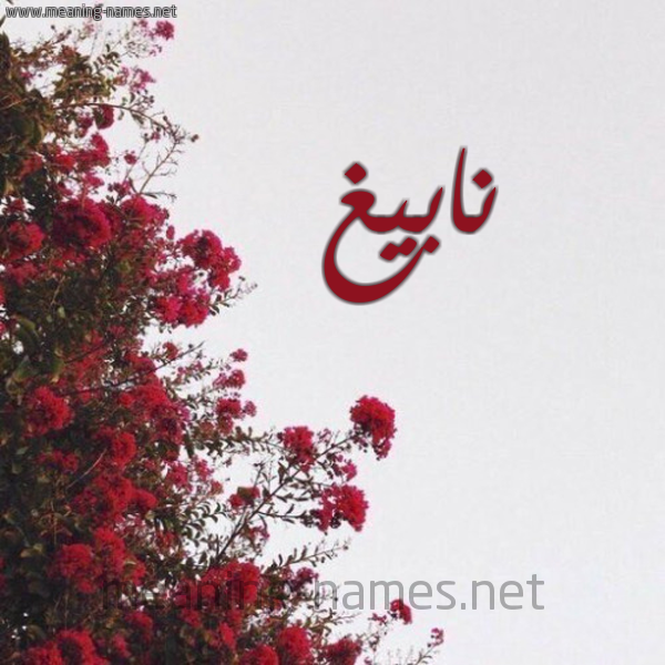 شكل 18 صوره الورد الأحمر للإسم بخط رقعة صورة اسم نابيغ Nabegh