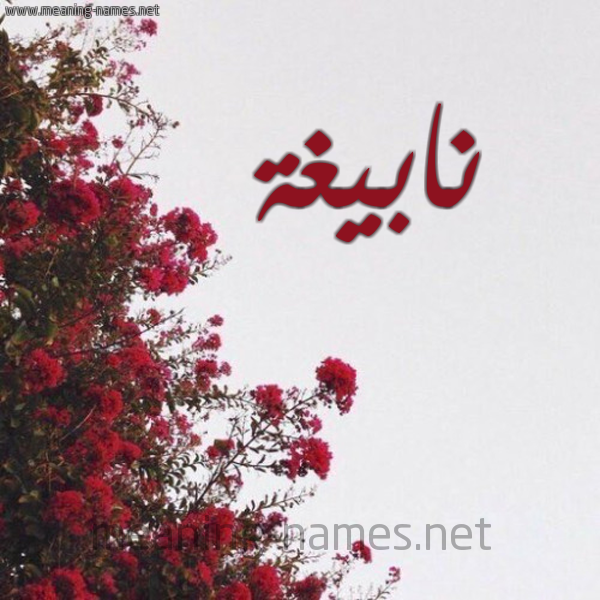 شكل 18 صوره الورد الأحمر للإسم بخط رقعة صورة اسم نابيغة Nabegha