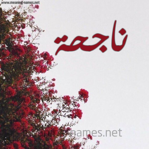 شكل 18 صوره الورد الأحمر للإسم بخط رقعة صورة اسم ناجحة NAGHH