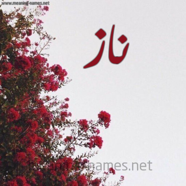 شكل 18 صوره الورد الأحمر للإسم بخط رقعة صورة اسم ناز naz