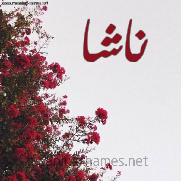 شكل 18 صوره الورد الأحمر للإسم بخط رقعة صورة اسم ناشا nasha