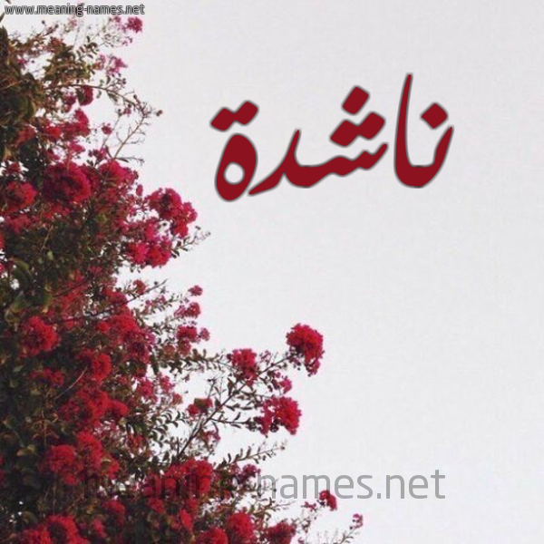شكل 18 صوره الورد الأحمر للإسم بخط رقعة صورة اسم ناشدة NASHDH