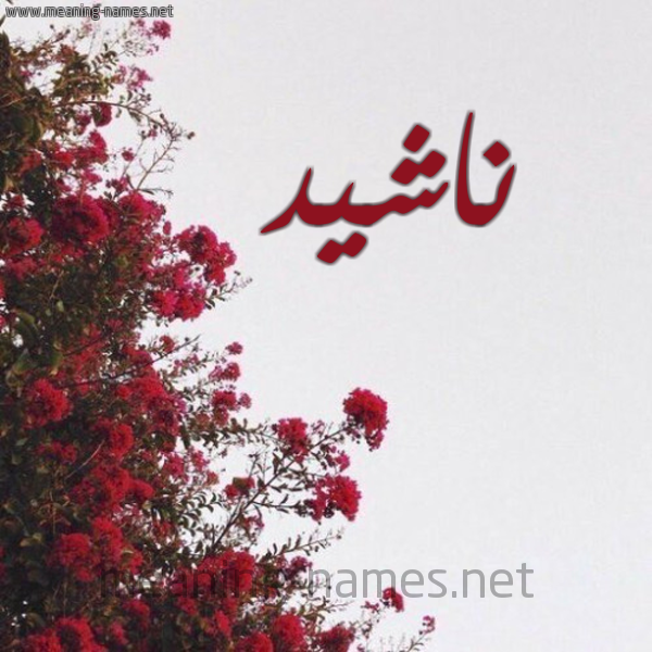 شكل 18 صوره الورد الأحمر للإسم بخط رقعة صورة اسم ناشيد Nashid