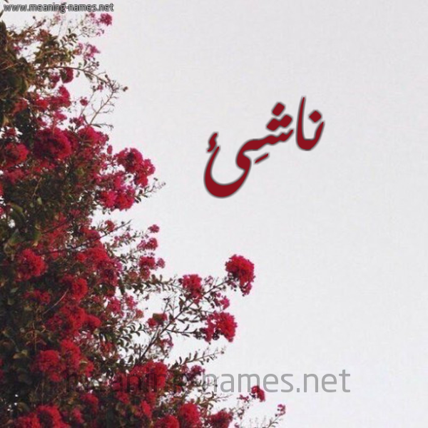 شكل 18 صوره الورد الأحمر للإسم بخط رقعة صورة اسم ناشِئ NASHEE