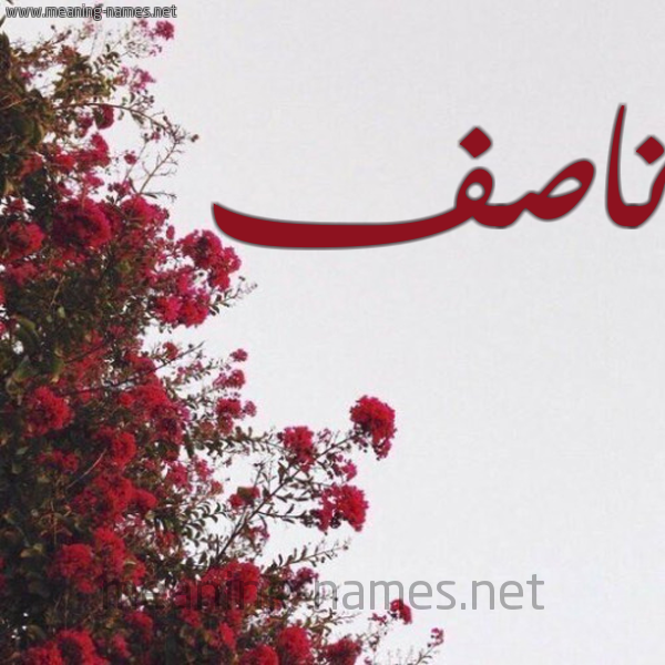 شكل 18 صوره الورد الأحمر للإسم بخط رقعة صورة اسم ناصف Nasf