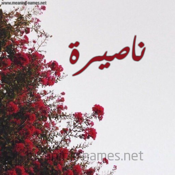 شكل 18 صوره الورد الأحمر للإسم بخط رقعة صورة اسم ناصيرة NASSIRA